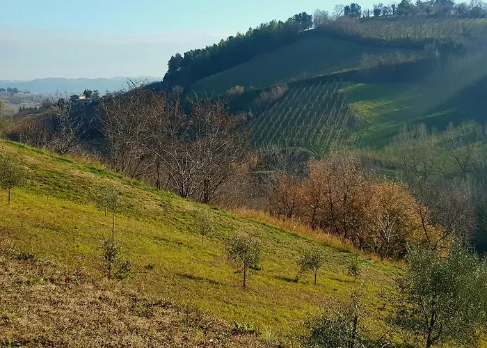 Azienda agricola biologica Le Lucciole Bertinoro